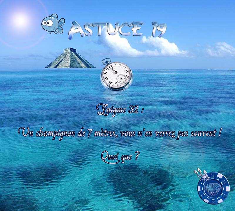 Astuce 19 bis.jpg