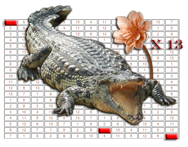 Solution E28 croco + FLEUR 3.jpg